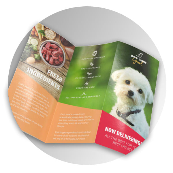 Brochures & Flyers